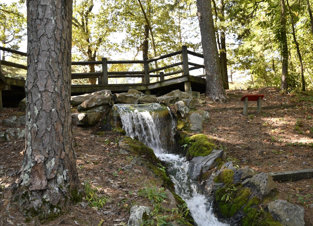 Lake Ponder Trail, Crowley's Ridge State Park, Greene County, Arkansas