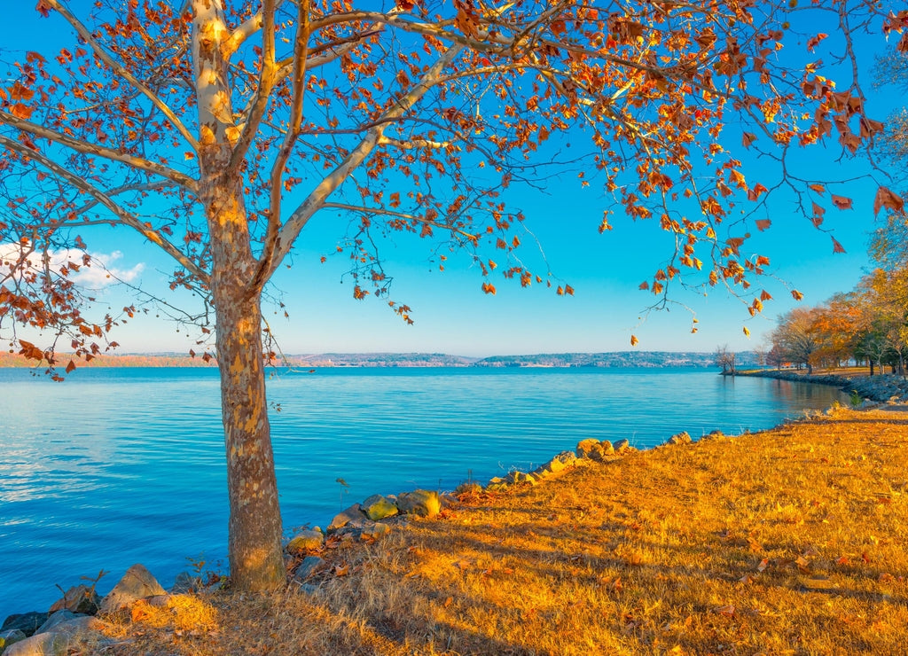 Lake Dardanelle