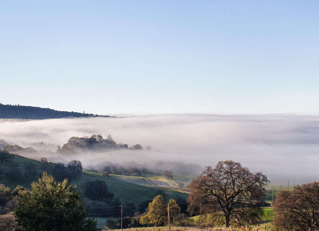 Fog meeting the foothills near Oroville Lake, Butte County California