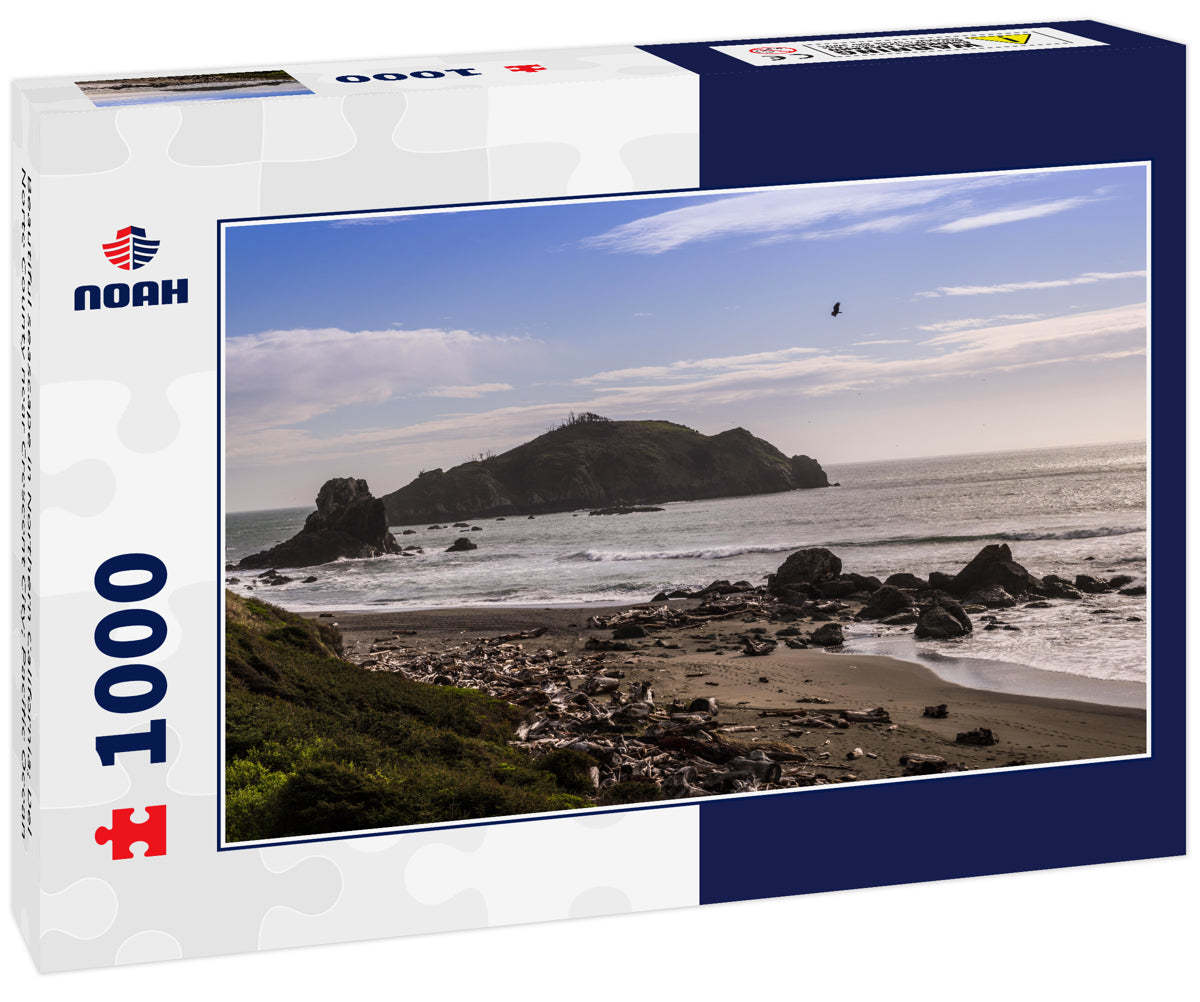 Beautiful seascape in Northern California; Del Norte County near Crescent City; Pacific Ocean