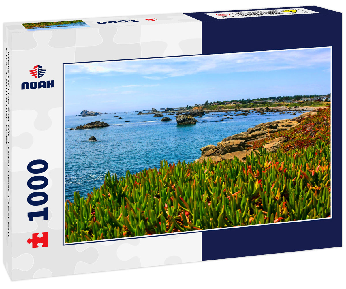 View of the Pacific coast near Crescent City, California, USA