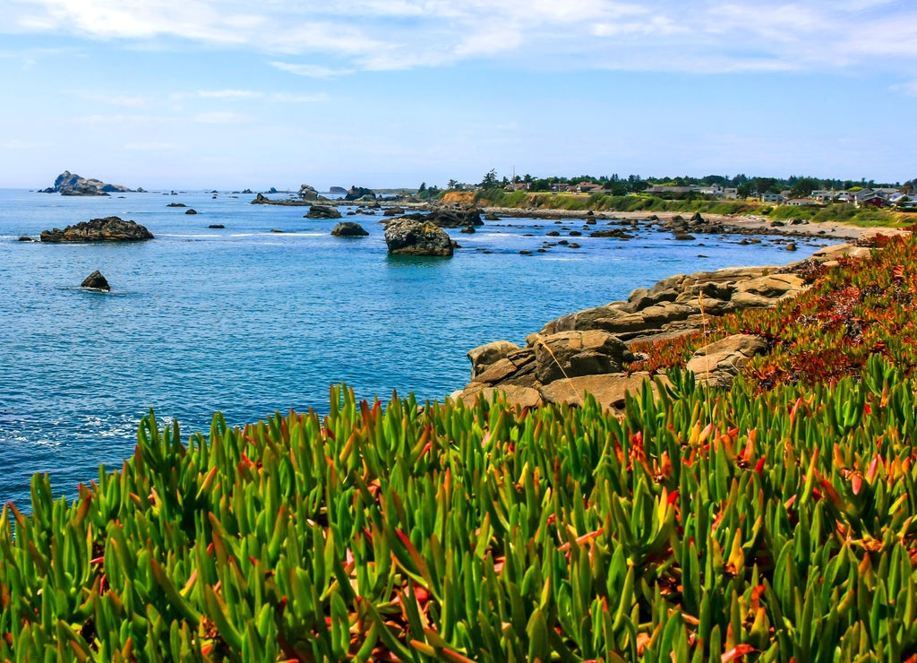 View of the Pacific coast near Crescent City, California, USA
