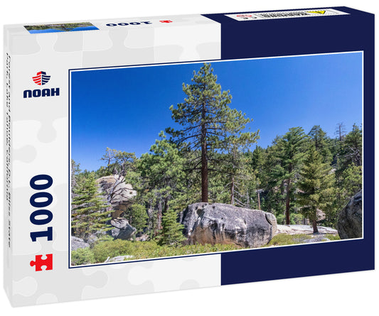 Forest and Boulders, D.L. Bliss State Park, Lake Tahoe, California