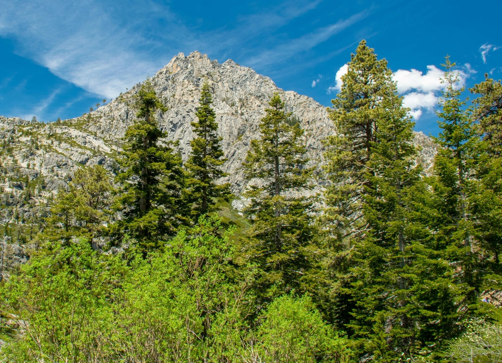 Eagle Lake is a back country lake in the Sierra Nevada mountain range, to the west of Lake Tahoe in the Desolation Wilderness. It can be reached by hiking west out of the Eagle Lake trailhead