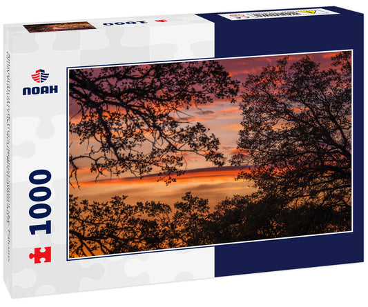 Silhouetted oak trees against sunset sky. Falcons Crest Folsom Lake State Recreation Area