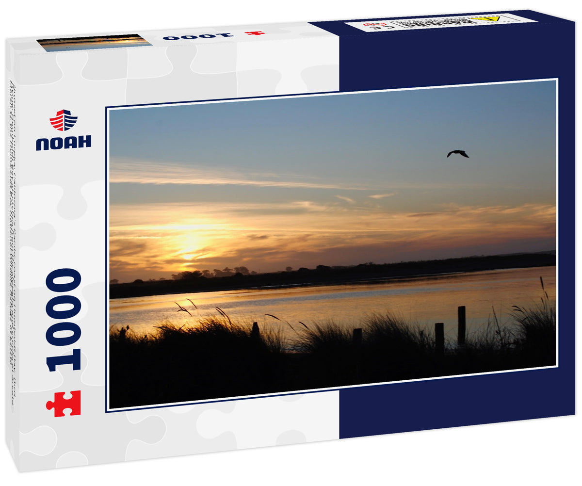 Sunset on Eureka, California's Pacific coast on Humboldt Bay. Bird flying. Humboldt Bay stretches from the sloughs and creeks at Arcata Marsh to the Humboldt Bay National Wildlife Refuge at Loleta