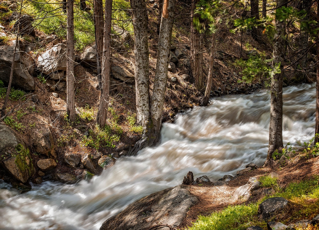 Grizzly Creek, Kings Canyon National Park, California, USA