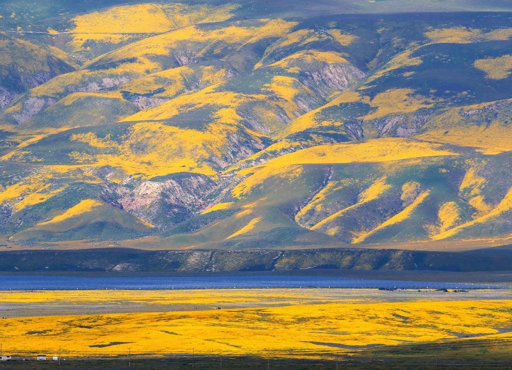 Carrizo Plain National Monument, California