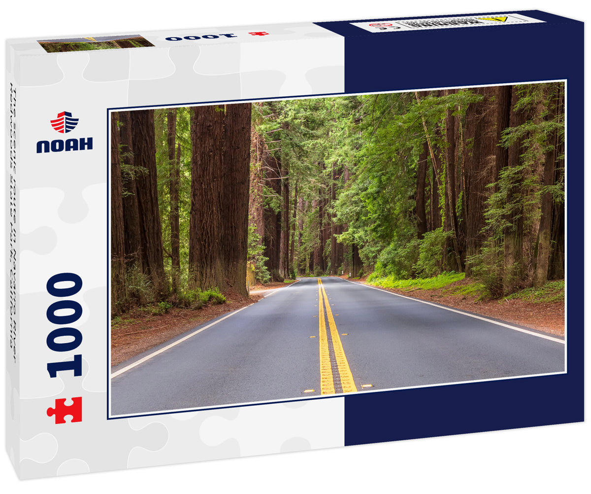 The scenic route in Navarro River Redwoods State Park, California