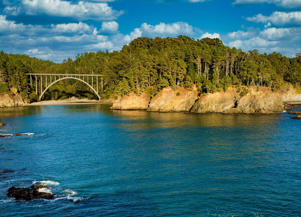 Bridge, cliffs, and redwood forest in Mendocino, California