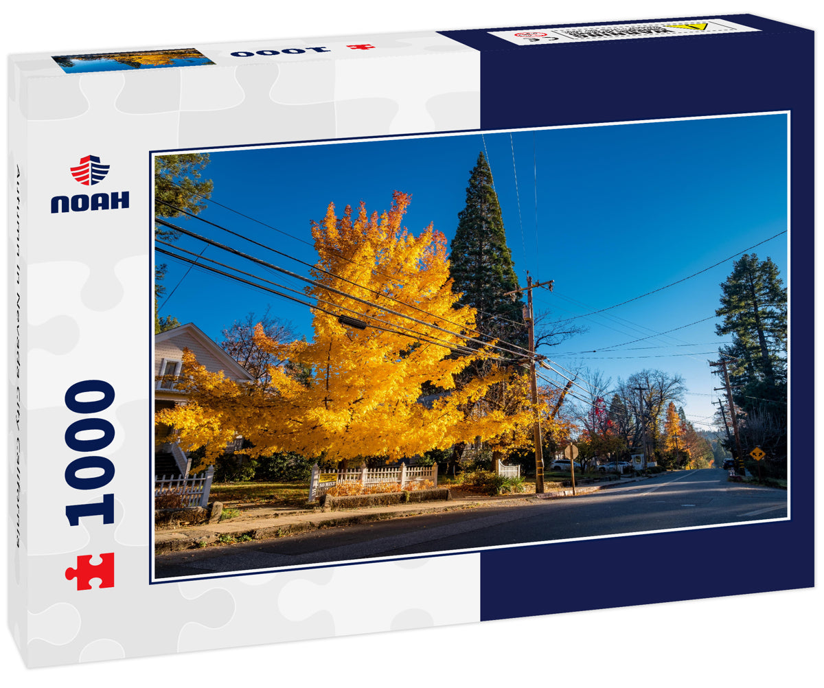 Autumn in Nevada City California