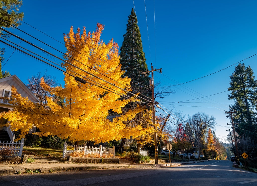Autumn in Nevada City California