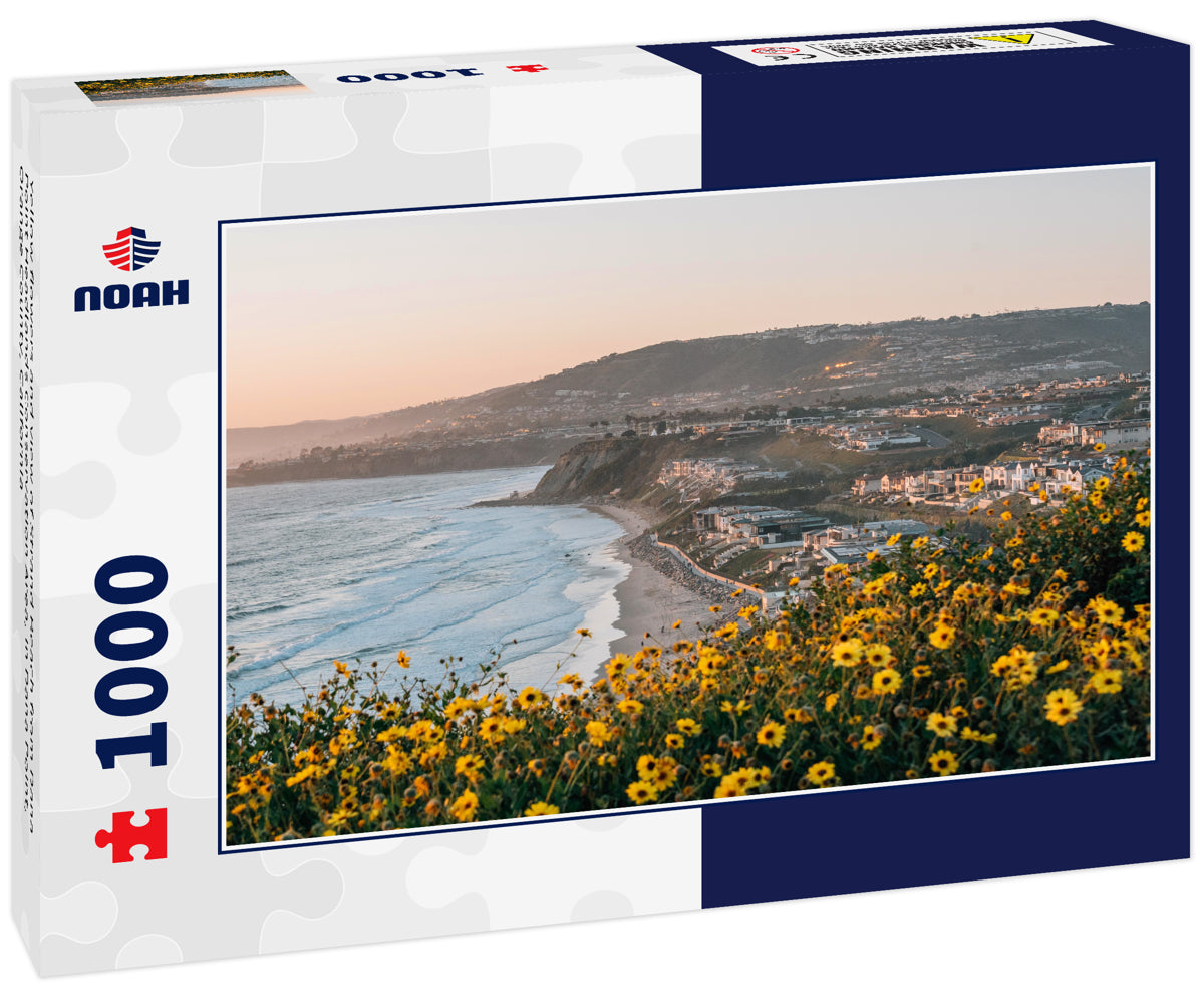 Yellow flowers and view of Strand Beach from Dana Point Headlands Conservation Area, in Dana Point, Orange County, California