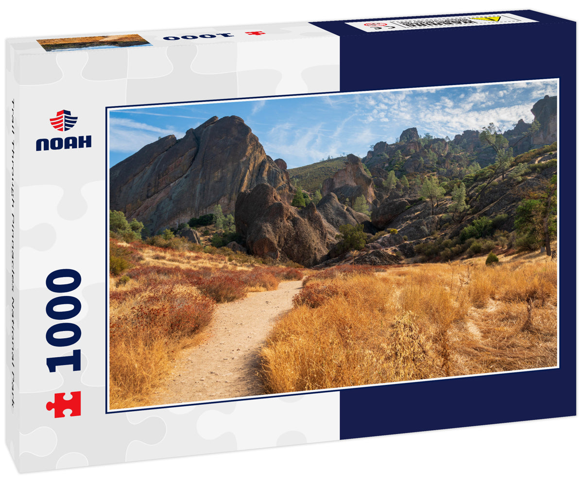 Trail Through Pinnacles National Park