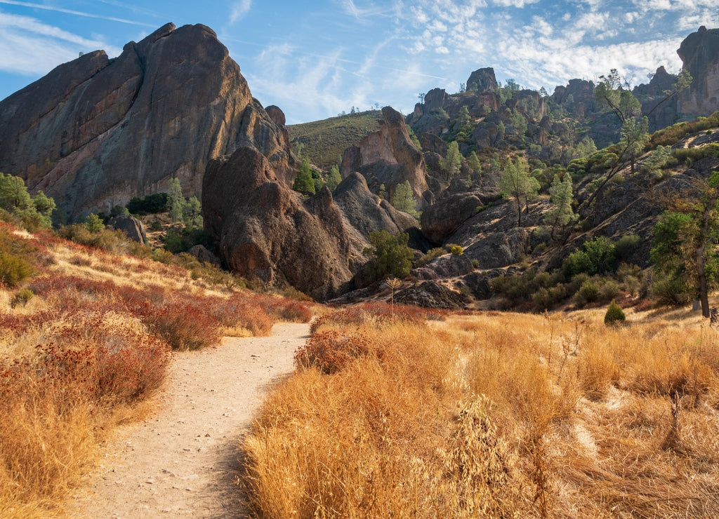 Trail Through Pinnacles National Park