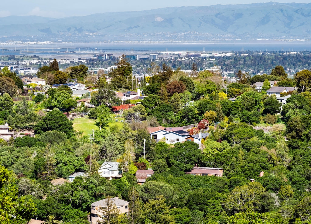Aerial view of residential neighborhood; San Francisco bay visible in the background; Redwood City, California