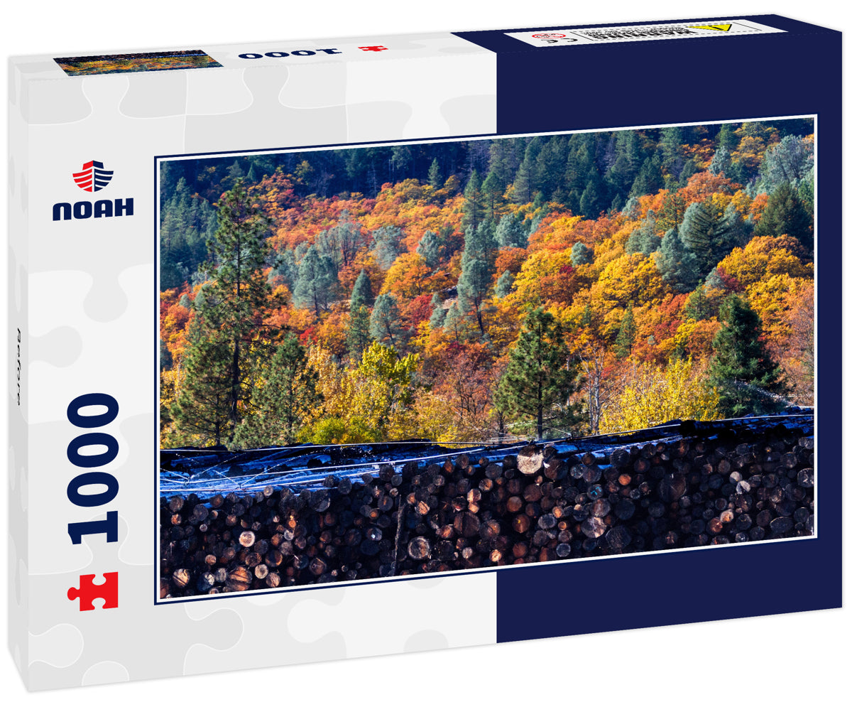 Before & After - Autumn forest provides a colorful backdrop to a lumber mill log pile. Weaverville, California, USA