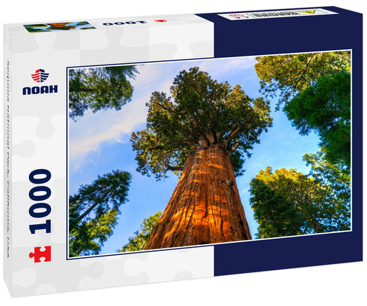 Sequoia National Park, California, USA