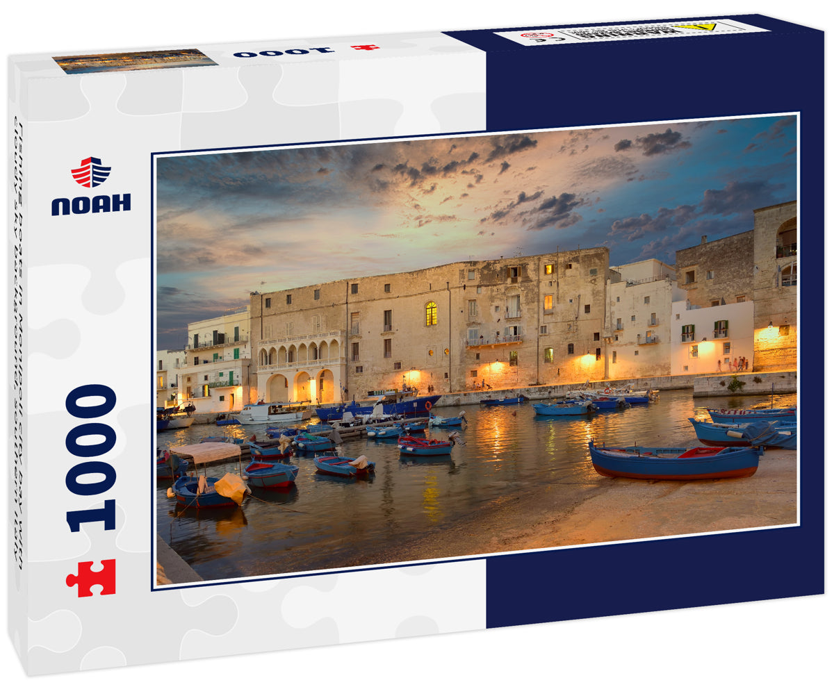 Fishing boats in Monipoli city bay with cloudy sky background, southern Italy