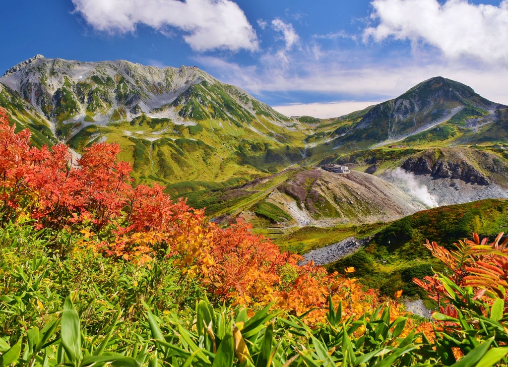 Tateyama / Japan ~ Autumn