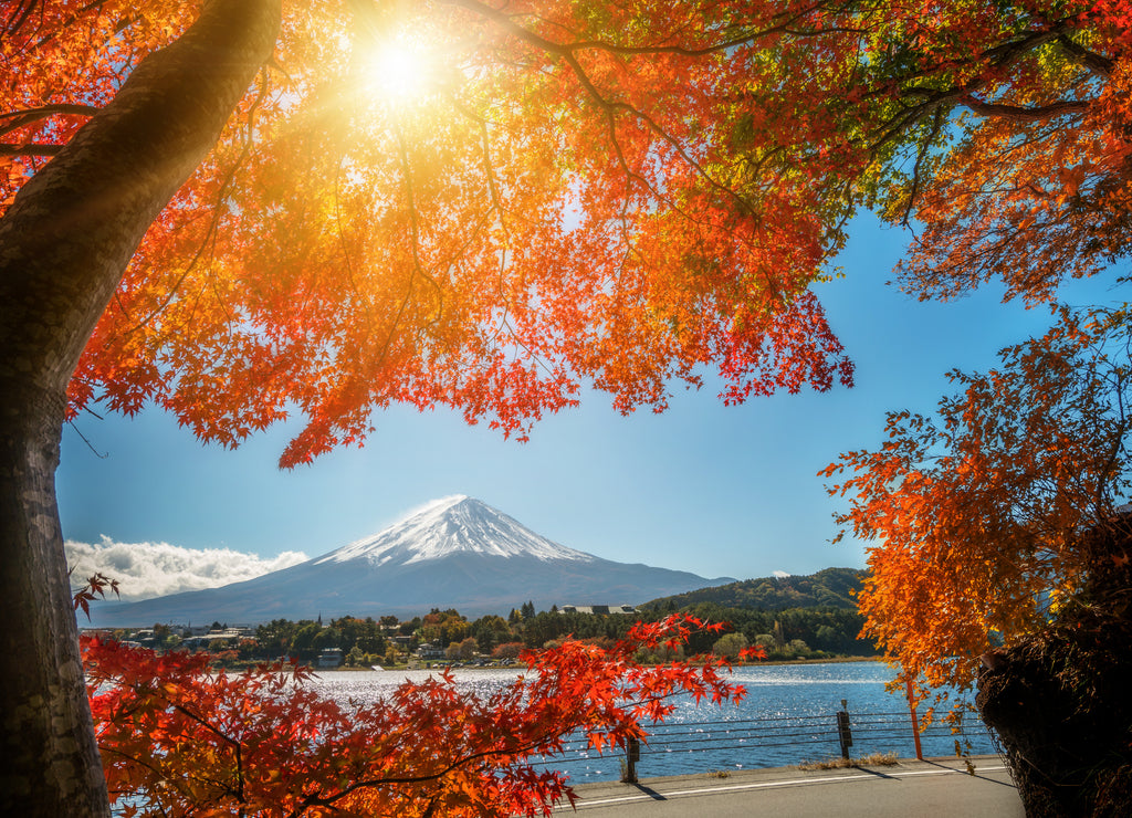 Mount Fuji in Autumn Color, Japan