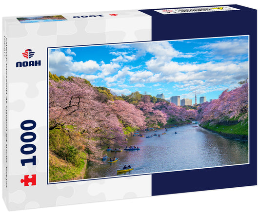 cherry blossom at chidori ga fuchi, tokyo, japan