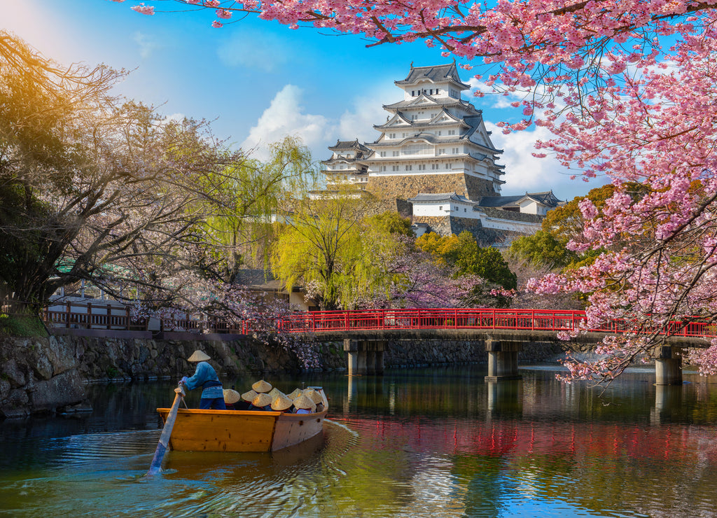 Himeji Castle with beautiful cherry blossom,Himeji Castle is famous cherry blossom viewpoint in Osaka