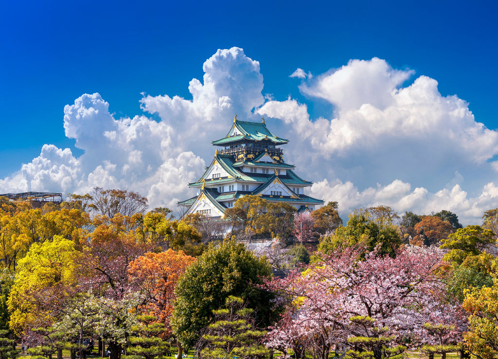 Cherry blossoms and castle in Osaka