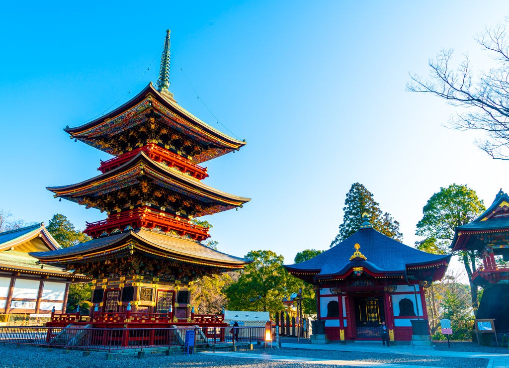 Pagoda at Narita-san Shinsho-ji temple, near Tokyo, Japan