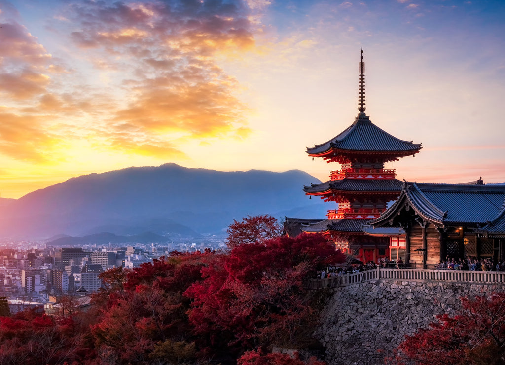 sunset at Kiyomizu Dera Pagoda Temple with red maple leaves or fall foliage in autumn season. Colorful trees, Kyoto