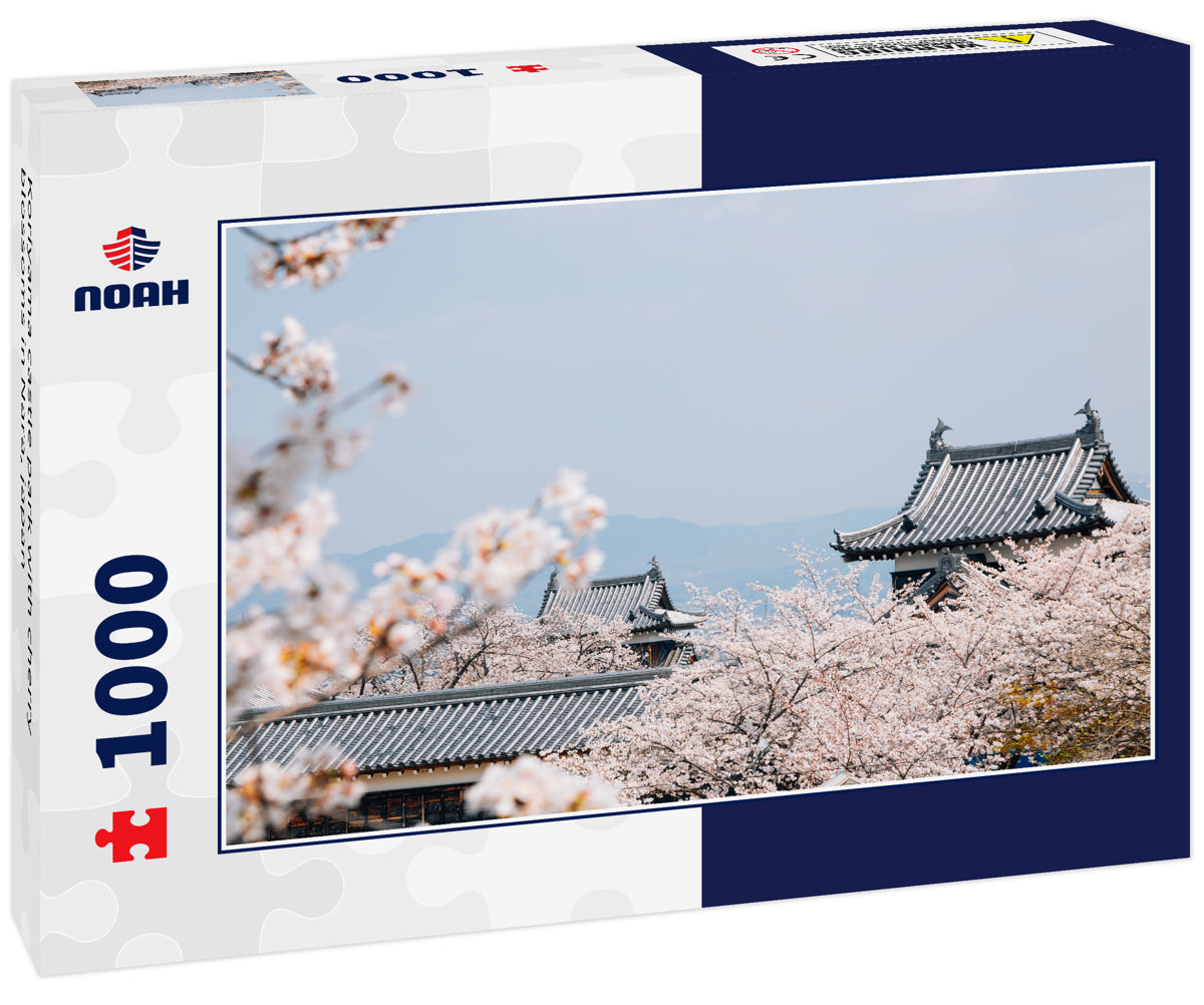 Koriyama castle park with cherry blossoms in Nara, japan