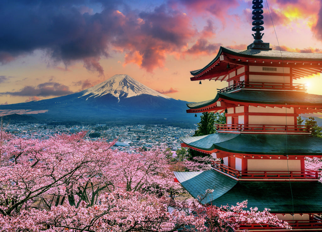 Cherry blossoms in spring, Chureito pagoda and Fuji mountain in Japan