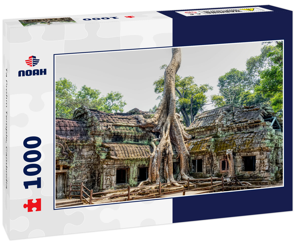 Ta Prohm Temple, Cambodia