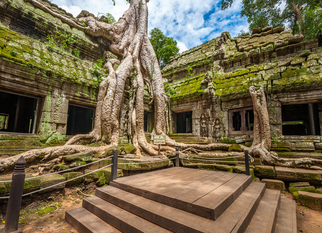 Ancient buddhist khmer temple in Angkor Wat, Cambodia.Ta Prohm Prasat