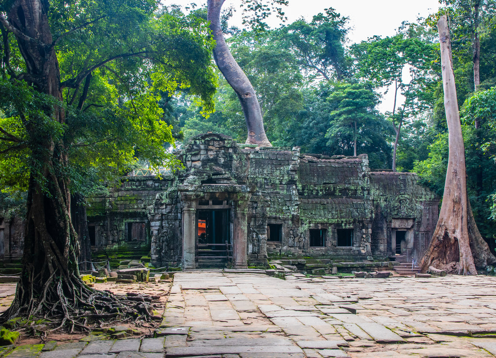 Ta Prohm temple in Angkor Cambodia Asia