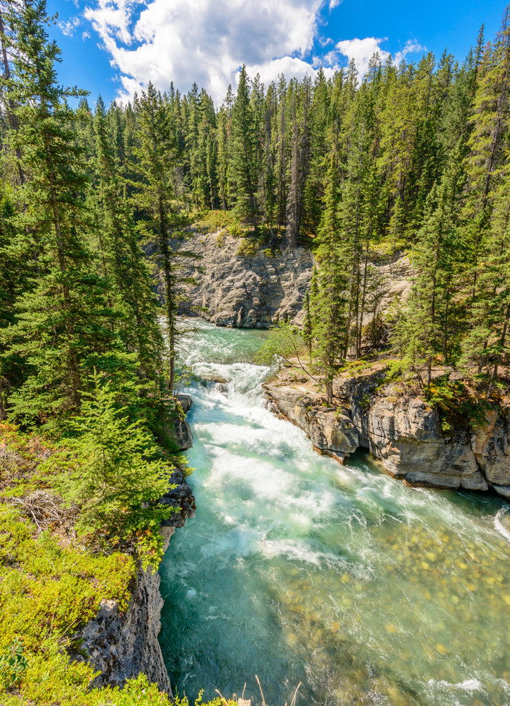 Fragment of Five Lakes trail in Jasper, Alberta, Canada