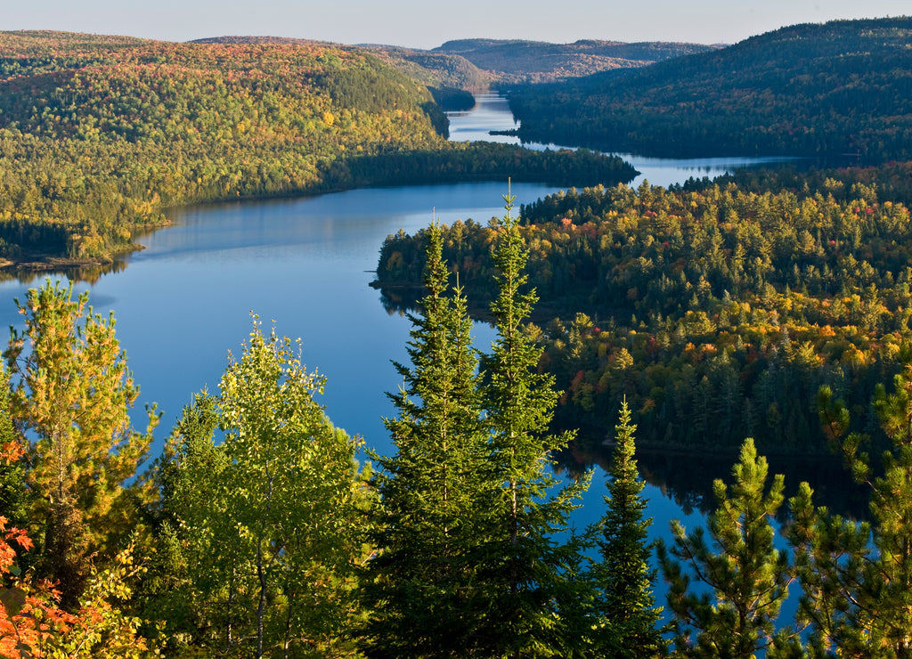 Top of Mauricie National Park