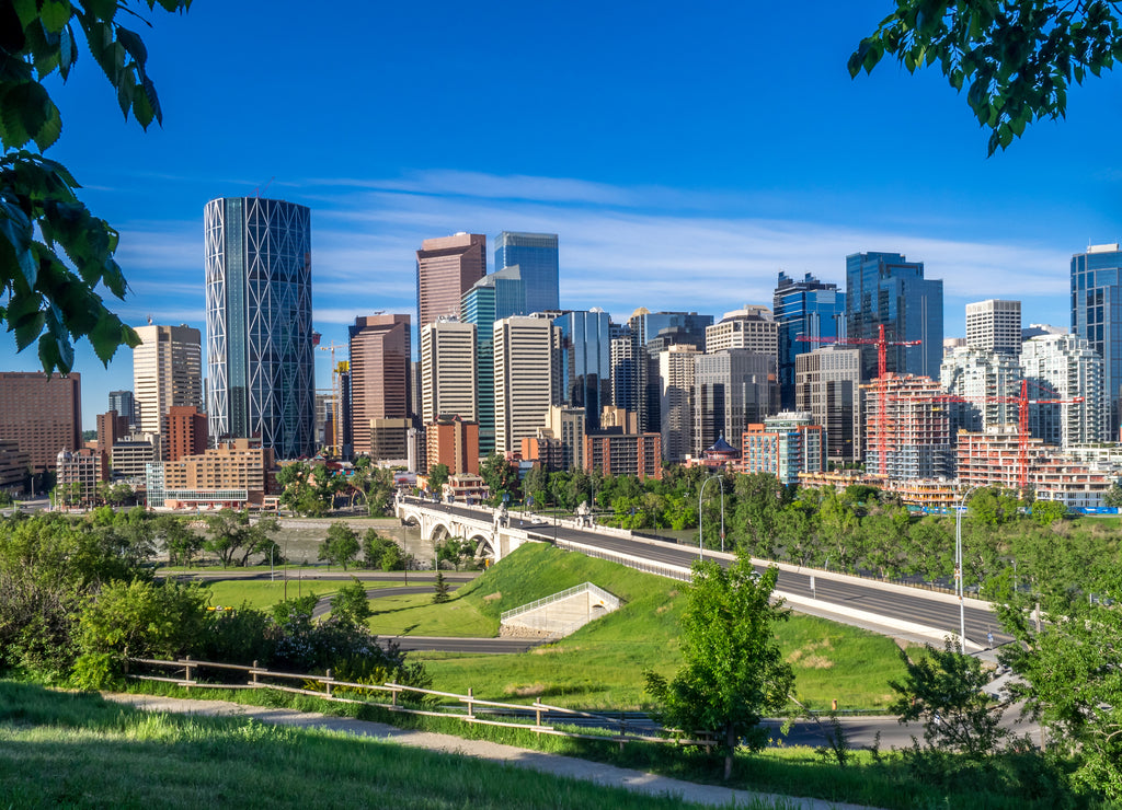 Calgary's skyline on a beautiful sunny day