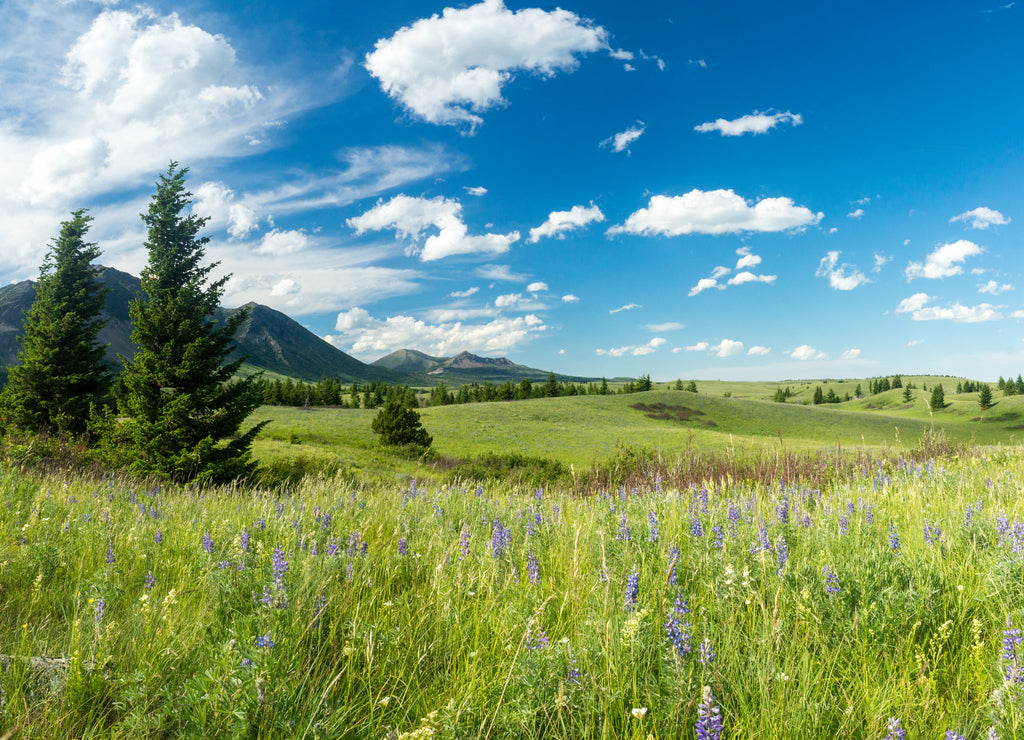 Prärie und Berge im Waterton Lakes Nationalpark, Alberta, Canada