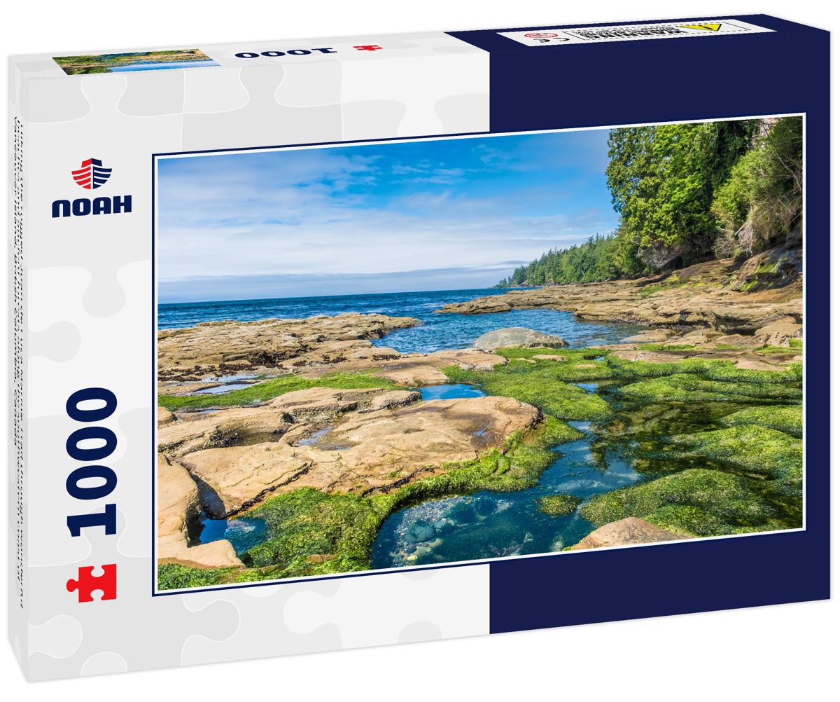 Hiking the rugged Juan de Fuca Marine Trail through wonderful beaches and ancient forests along the southwestern coast of Vancouver Island, British Columbia, Canada