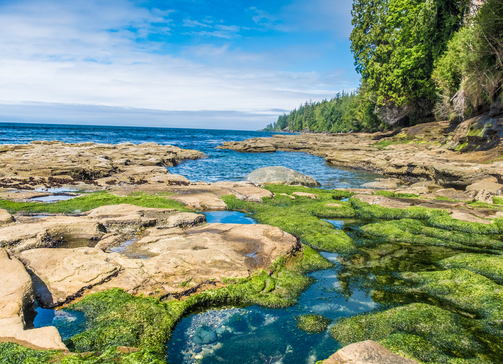 Hiking the rugged Juan de Fuca Marine Trail through wonderful beaches and ancient forests along the southwestern coast of Vancouver Island, British Columbia, Canada