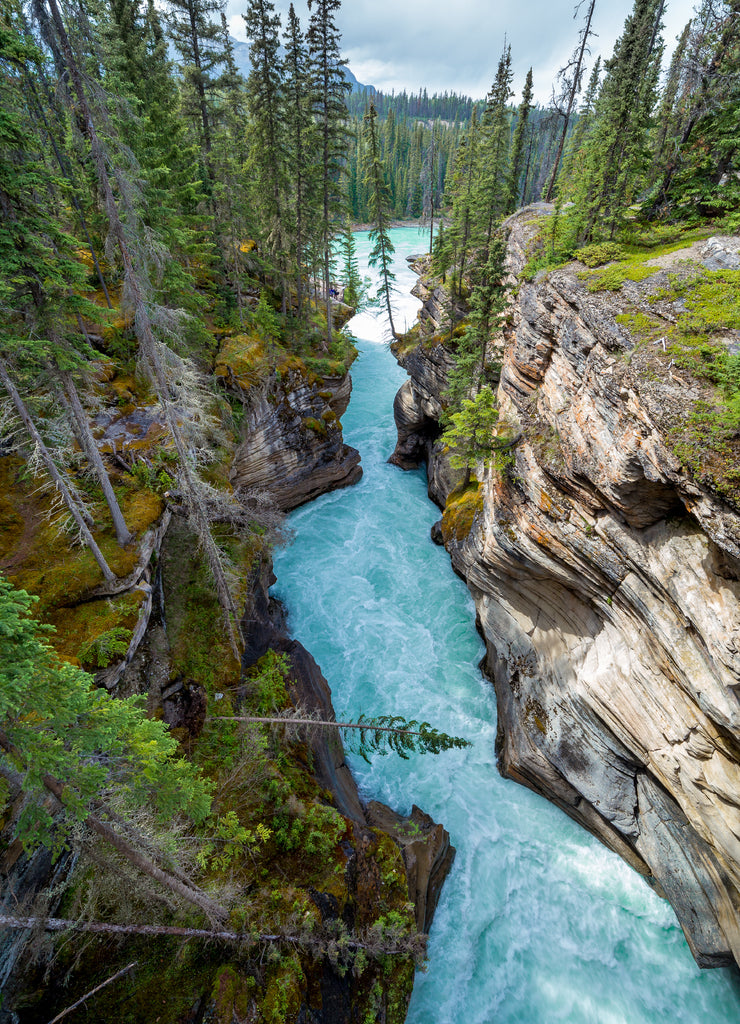 A narrow canyon at the Icefield Parkway in British Columbia