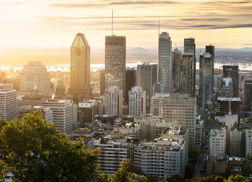 Montreal skyline from Mont Royal