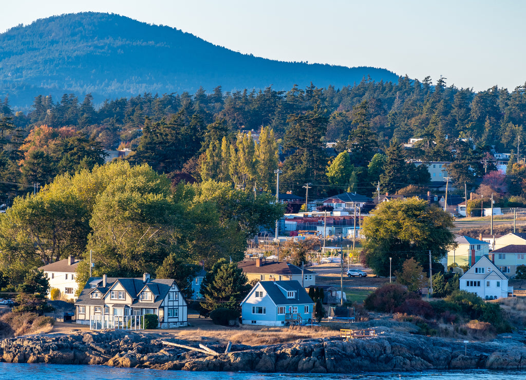 Aerial view of coastal landscape, houses/homes in residential location by the sea and mountains on waterfront ocean water harbour bay, in Victoria, Canada