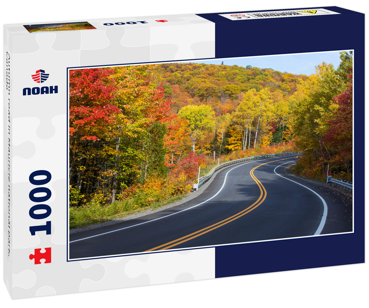 Autumn road in Mauricie national park, Canada