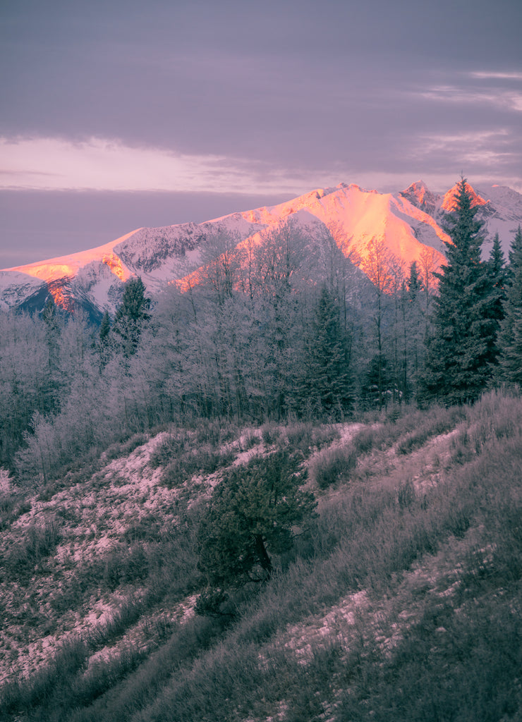 Highway of Tears - Hudson Bay Mountain - Morning Glow