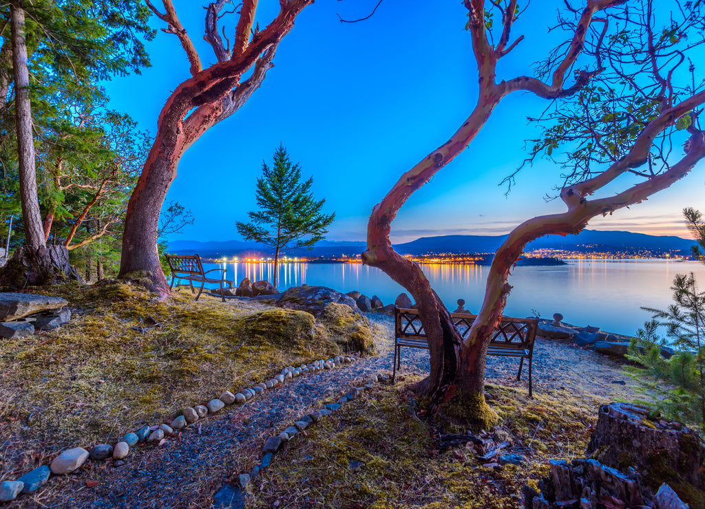 Tranquil sunset and evening illuminations of the beautiful town of Nanaimo on Pacific Ocean in Vancouver, Canada