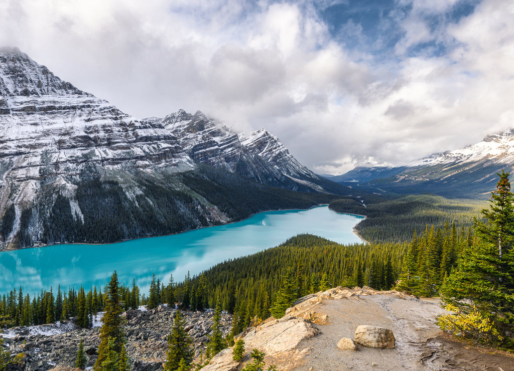 Peyto lake resemble of fox in Banff national park at Canada