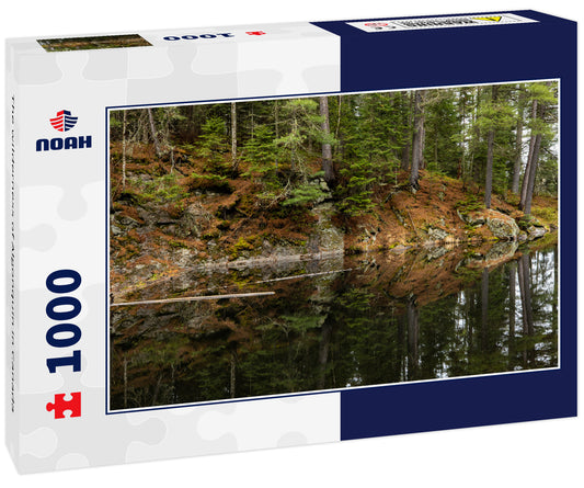 The wilderness of Algonquin in Canada