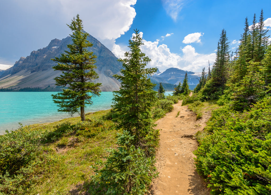Fragment of mountain lake trail in Alberta, Canada, Rocky Mountains